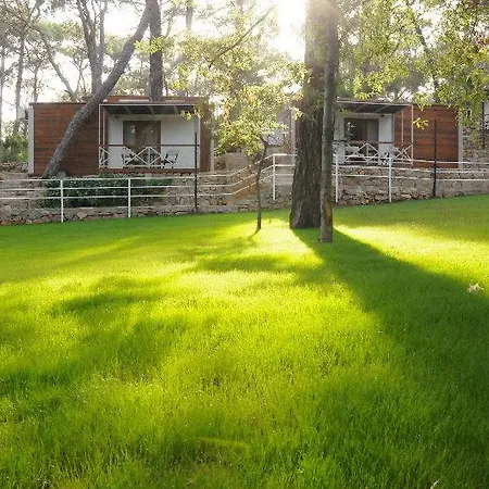 Gold Incekum Natural Park Hotell Avsallar