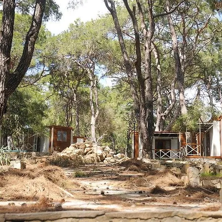 Gold Incekum Natural Park Avsallar